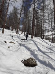 Scendendo sul sentiero nel bosco.