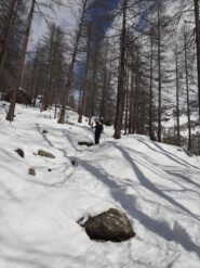 Scendendo sul sentiero nel bosco.