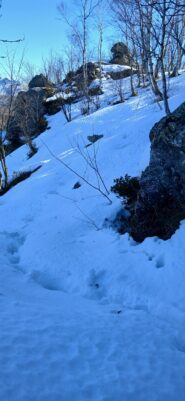 Poco sotto Rocca Rubat