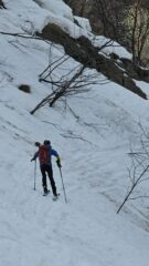 Il traverso oltre il bosco