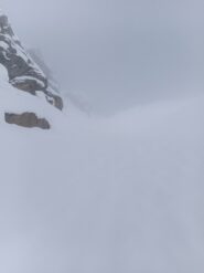 Lì davanti c'è il colletto, giuro