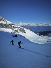 Neve tassè