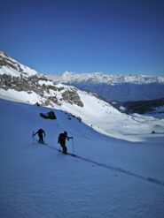 Neve tassè