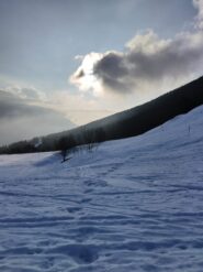 nebbioline in arrivo