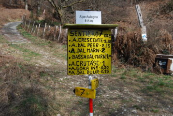 L’arrivo all’Alpe Aulogno dove termina il sentiero 7 e si scende a Cesara per poderale