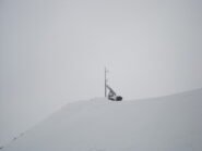 non whiteout ma...quasi