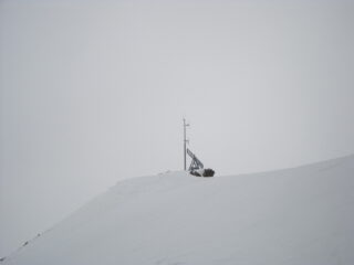 non whiteout ma...quasi