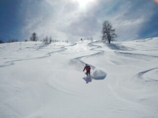 neve divertente