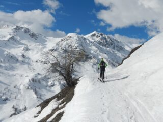 salendo bella vista sul versante per gli itinerari ai Monti Viridio e Viribianc
