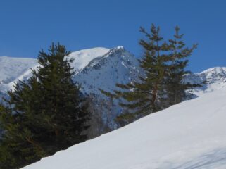 Cima Salauta