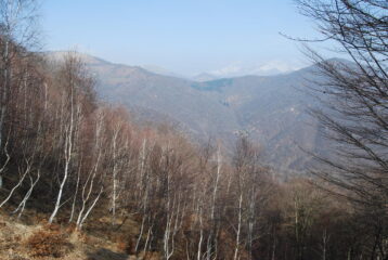 La cresta dal M. Mazzone al M. Novesso