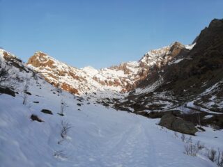 Monte Marzo in salita, visto dall'Alpe Pasquere