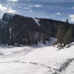  Traverso in leggerissima discesa verso Malga Romeno.