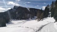  Traverso in leggerissima discesa verso Malga Romeno.