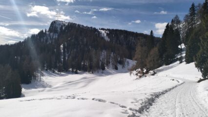  Traverso in leggerissima discesa verso Malga Romeno.