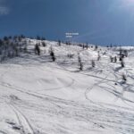 oplus_0