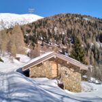  Tratto superiore della strada forestale .