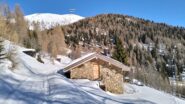  Tratto superiore della strada forestale .