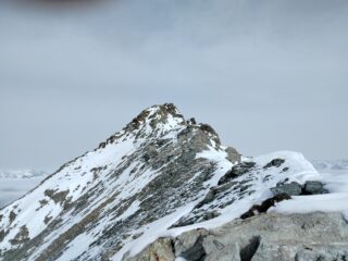 oplus_0