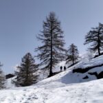 oplus_0