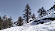oplus_0