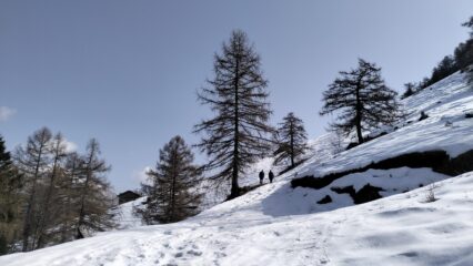 oplus_0