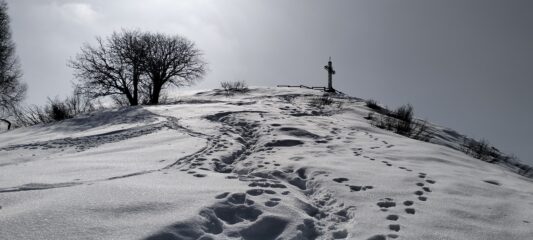 oplus_0