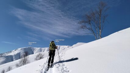 oplus_0