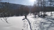  Tratto iniziale nel bosco.