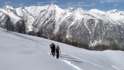 Fuori dal bosco. 