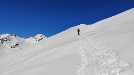 Quasi in cima