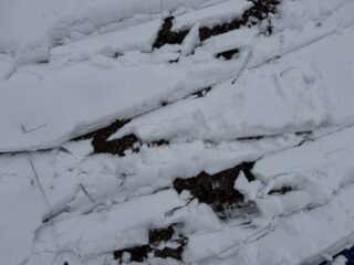 nella parte bassa la neve è poca 