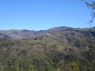 Salendo lungo la sterrata si aprono belle viste su Suvero ed il Monte Civolaro