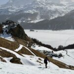 Lingue nella parte bassa 