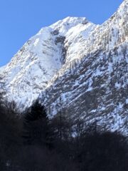 Sembra buona andiamo a vedere 
