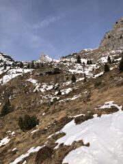 Parte bassa, poca neve