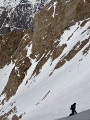 Al nevaio sospeso, il corno osserva.
