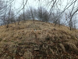 Monte Frascinello (m.1118)