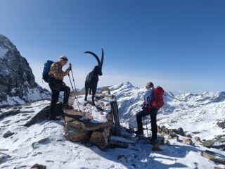 statua di stambecco al passo