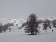 A metà salita si intravede l'azzurro 