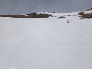 Neve primaverile molto bella 