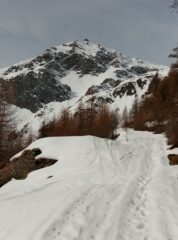 La poderale in direzione Alpe Tournalin Inferiore