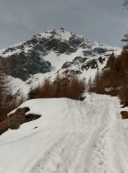La poderale in direzione Alpe Tournalin Inferiore