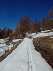 Stradina 