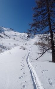 Traccia ben fatta