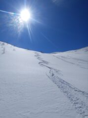 Molto bella