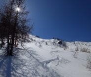 Quasi nel bosco 