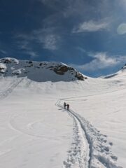 IMG_20260324_111745_828.jpg