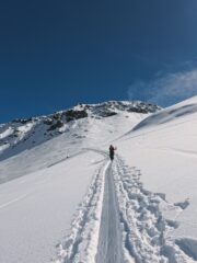 IMG_20260324_112802_831.jpg