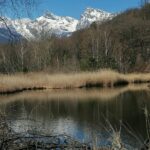 Lac de ville